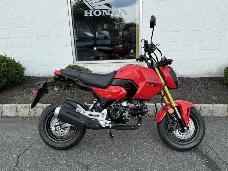 2025 Honda GromImage 1