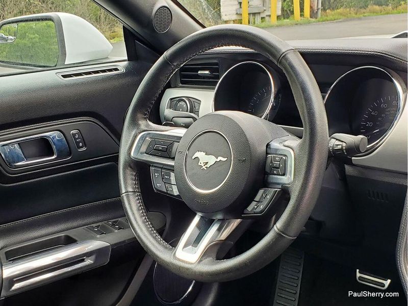 2017 Ford Mustang EcoBoost PremiumImage 5