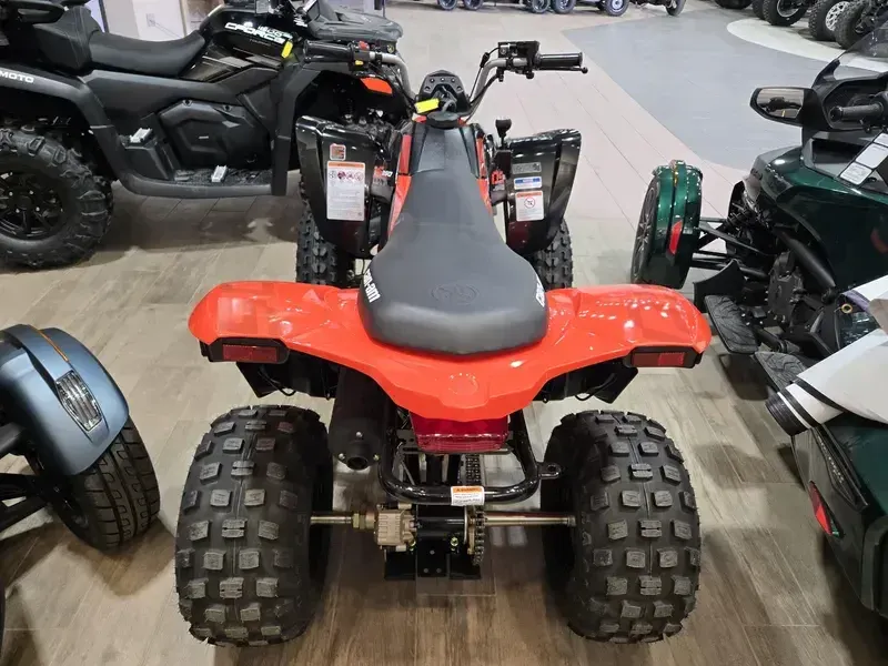 2025 Can-Am DS 250 BLACK AND CANAM RED Image 7