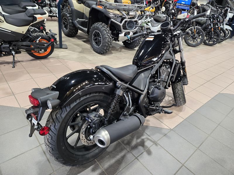 NEW 2026 HONDA REBEL 500 ABS Image 5
