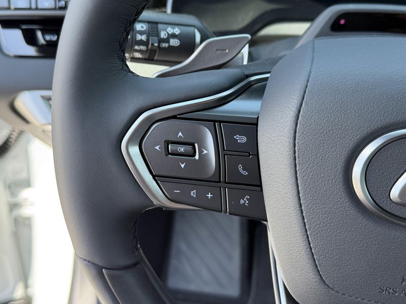2025 Lexus RX Image 22