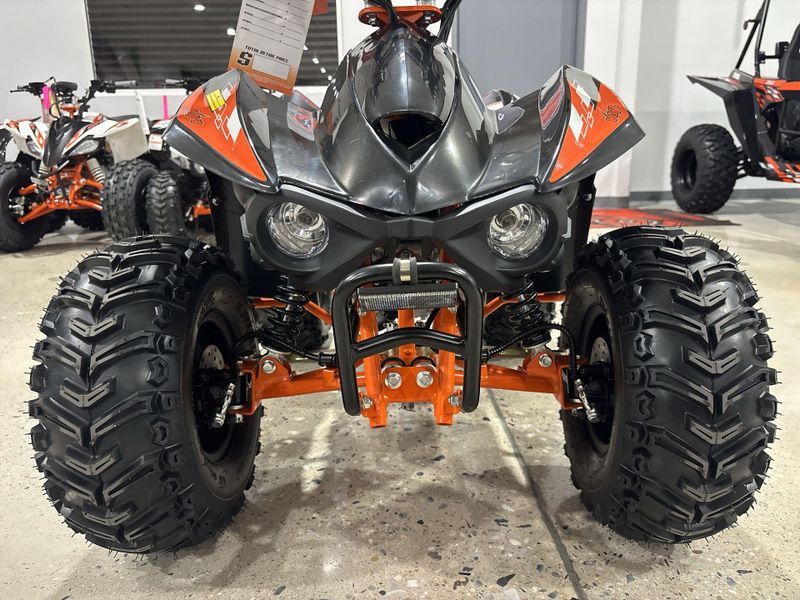 New 2026 Kayo STORM 70  in a BLACK exterior color. Victorville Del Amo Motorsports 760-241-7387 delamomotorsportsofvictorville.com 