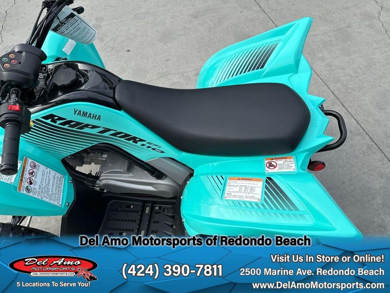 2025 Yamaha RAPTOR 110 Image 11