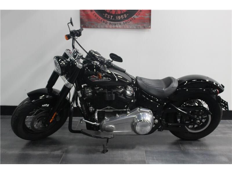 2019 Harley-Davidson Softtailslim Image 1
