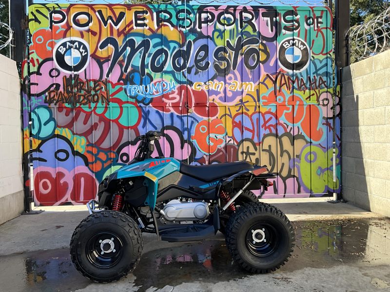 2025 Can-Am RENEGADE 110 Image 3