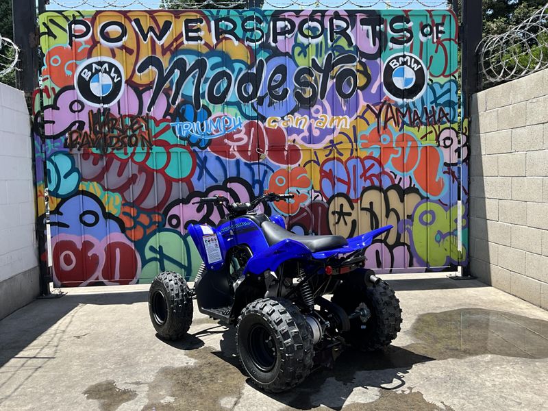New 2025 Yamaha Raptor 110 Image 7