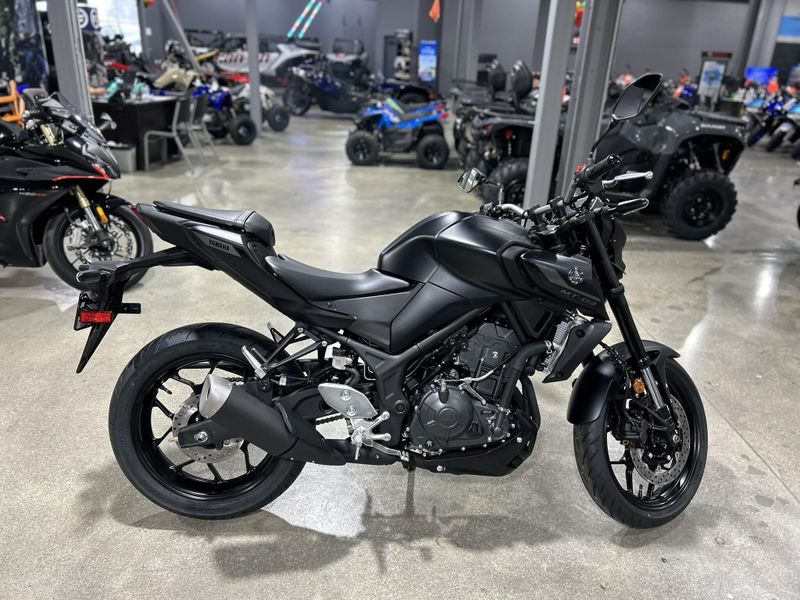 2025 Yamaha MT-03 Image 2