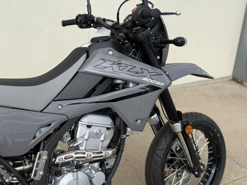 2025 Kawasaki KLX 300SMImage 6