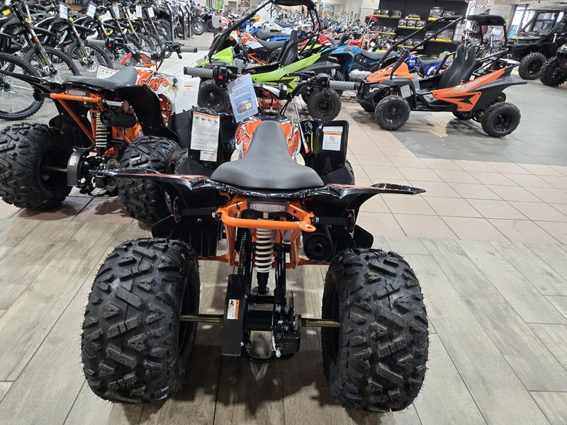 NEW 2026 KAYO PREDATOR 110 Image 14