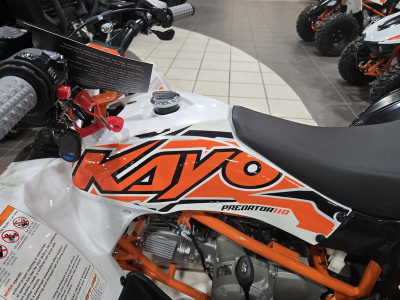 NEW 2025 KAYO PREDATOR 110 Image 7
