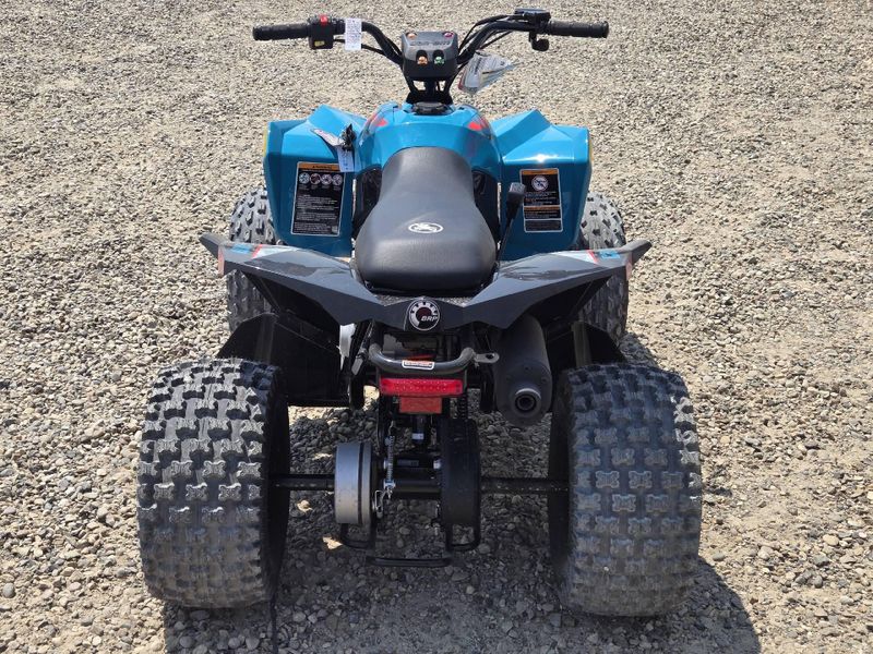 New 2026 Can-Am RENEGADE 110 EFI 