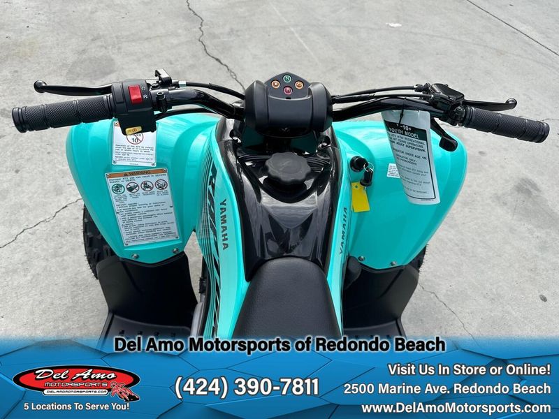 2025 Yamaha RAPTOR 110 Image 5