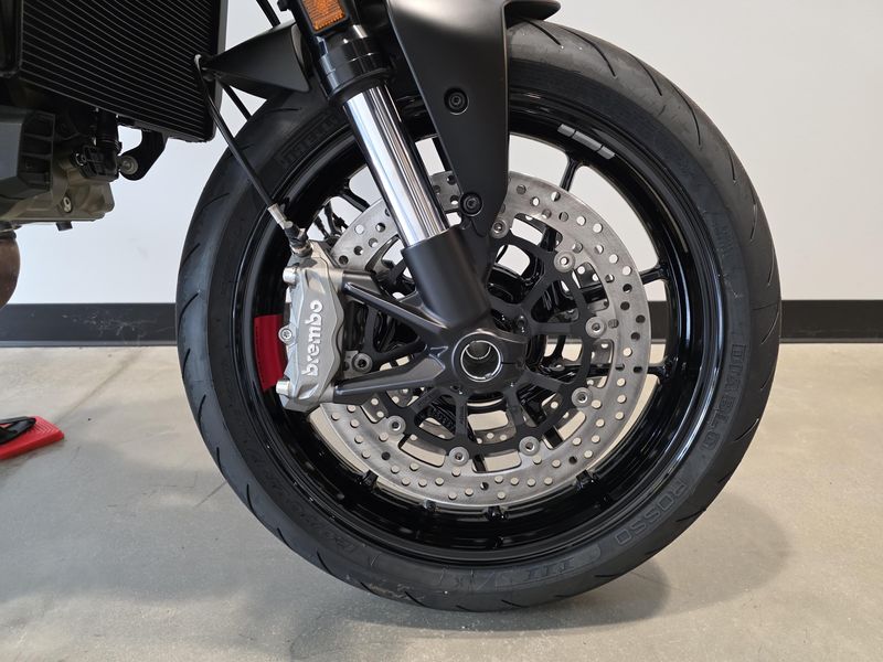 2026 Ducati Monster