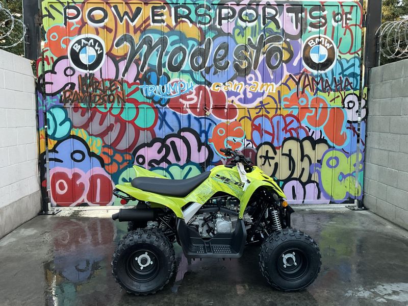 New 2026 Yamaha Raptor 110 Image 4