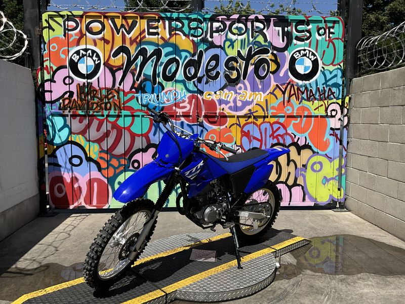 New 2025 Yamaha TT-R230 Image 2