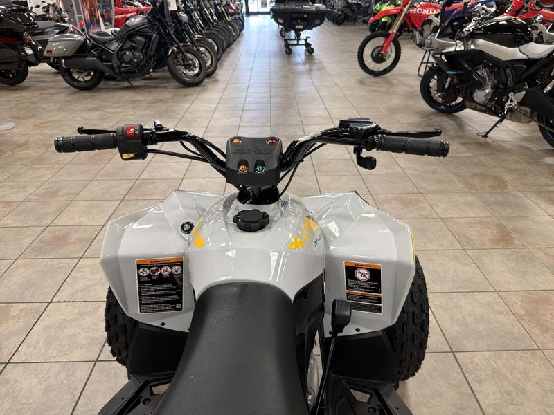 New 2026 Can-Am RENEGADE 110 EFI Image 25
