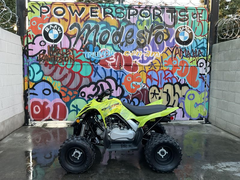 New 2026 Yamaha Raptor 110 Image 8