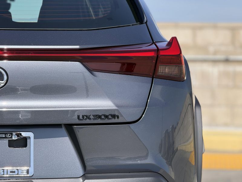 New 2026 Lexus UX 300hImage 12
