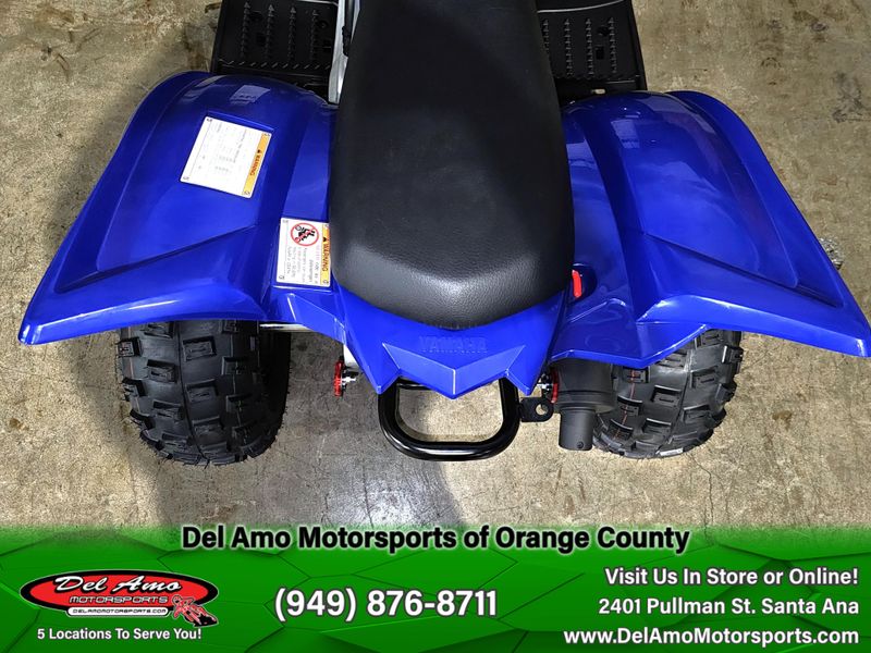 New 2025 Yamaha RAPTOR 110 Image 14