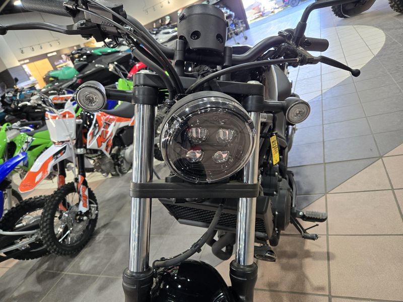 NEW 2026 HONDA REBEL 500 ABS Image 8