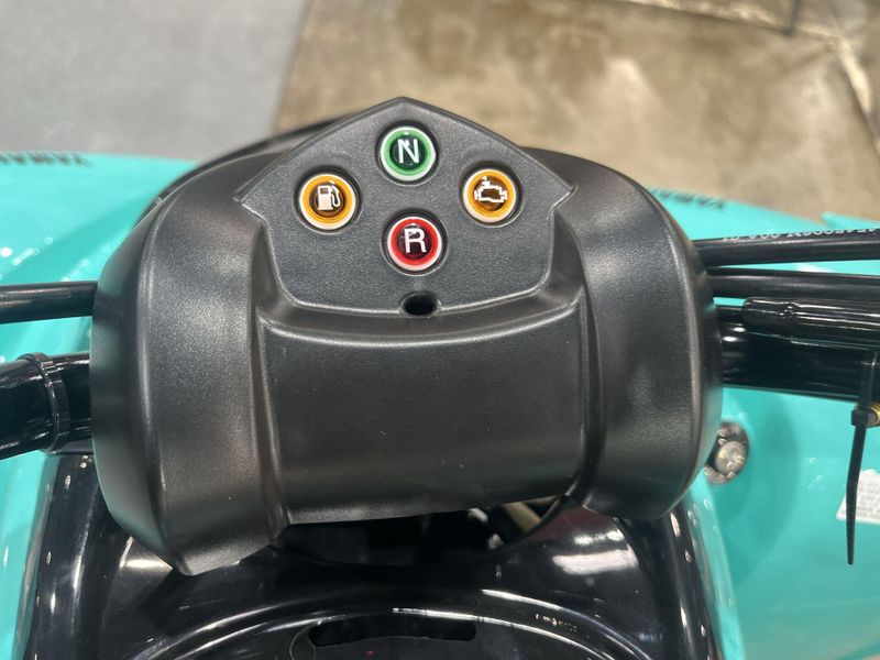 Used 2024 Yamaha Raptor 110 Image 16