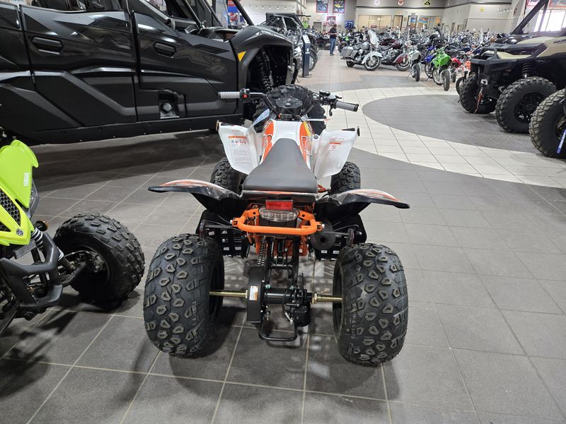 NEW 2026 KAYO STORM 150 EFI Image 5