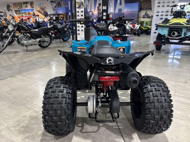 New 2026 Can-Am RENEGADE 110 EFI Image 15