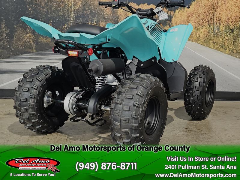New 2025 Yamaha RAPTOR 110 Image 9
