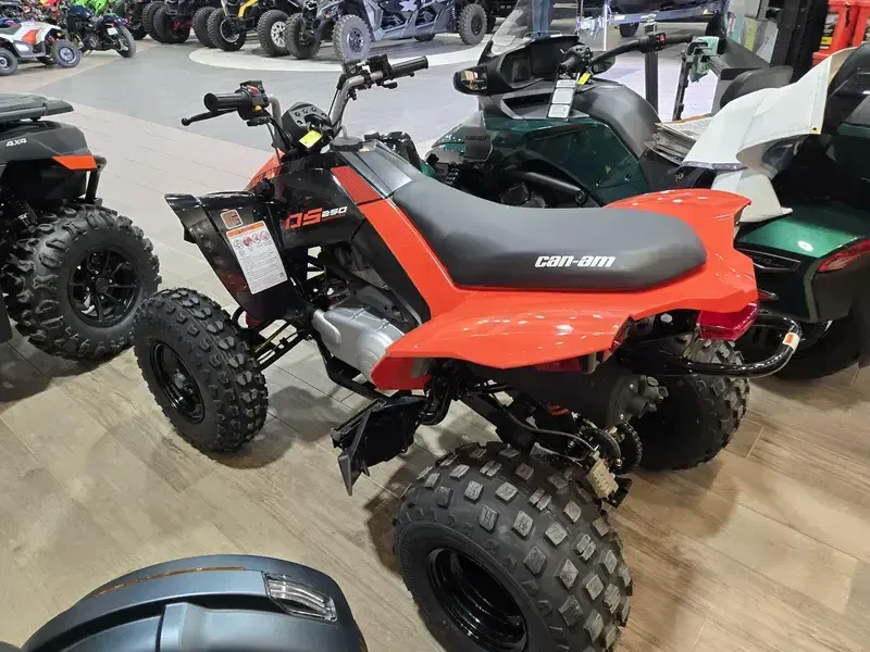 2025 Can-Am DS 250 BLACK AND CANAM RED Image 4
