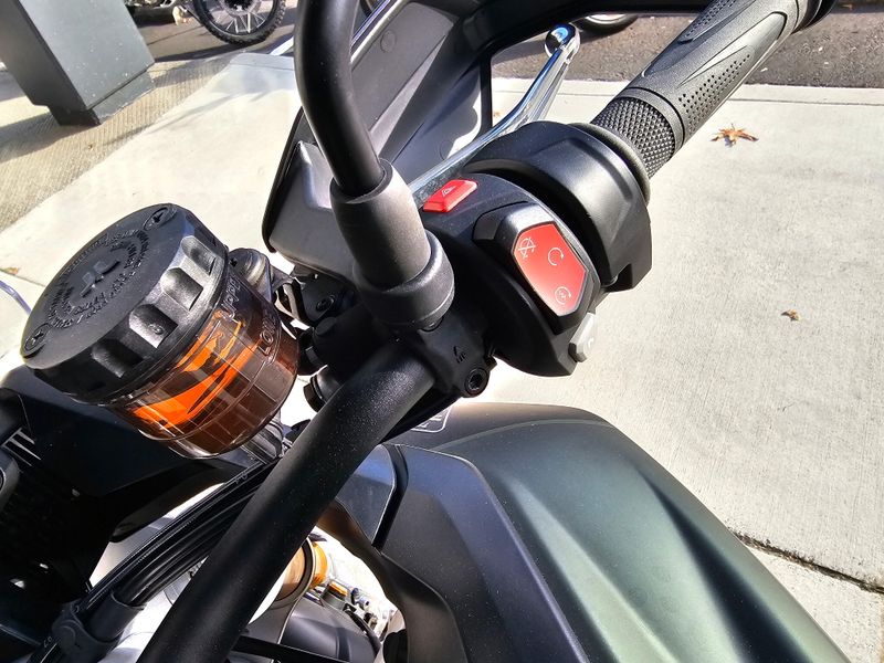 Used 2024 Triumph Tiger 900 Rally Pro 