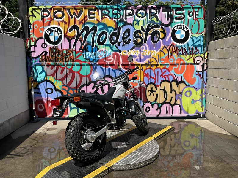 New 2025 Yamaha TW200 Image 6