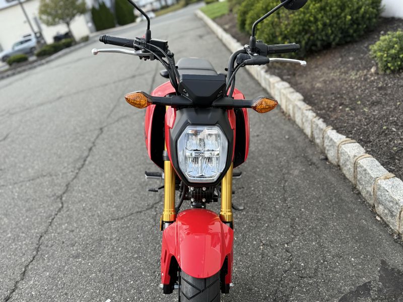 2025 Honda GromImage 4