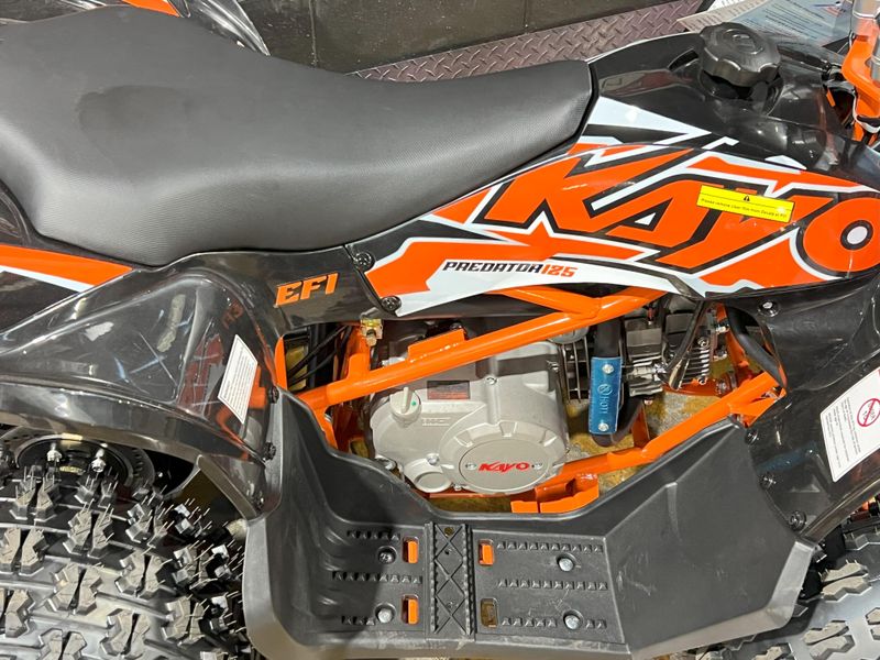 2025 Kayo PREDATOR 125 EFI Image 4
