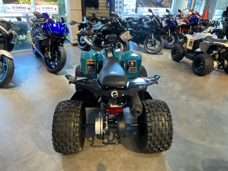 New 2026 Can-Am RENEGADE 110 Image 6
