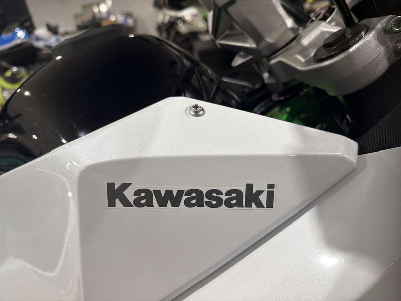 New 2026 Kawasaki KLE500 SE ABS Image 26