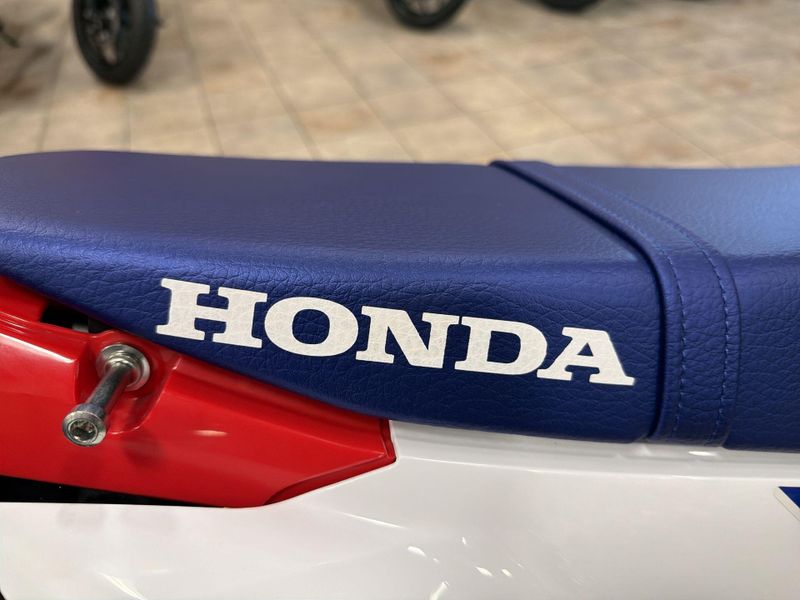 New 2025 Honda CRF300L RALLY Image 26