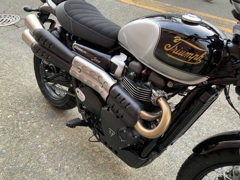 2025 Triumph SCRAMBLER 900 ICON