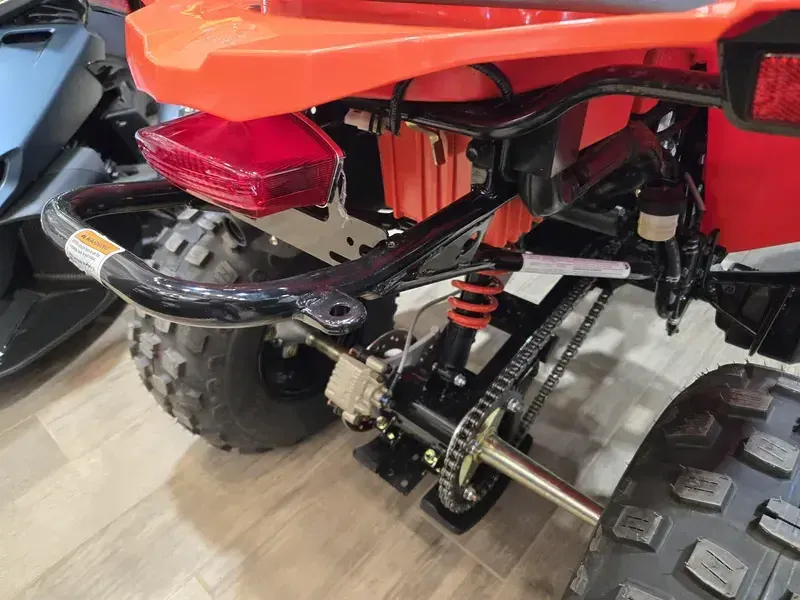 2025 Can-Am DS 250 BLACK AND CANAM RED Image 9