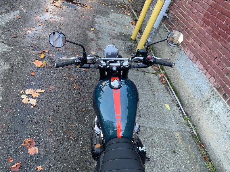 New 2025 Royal Enfield INT BEAR 650 