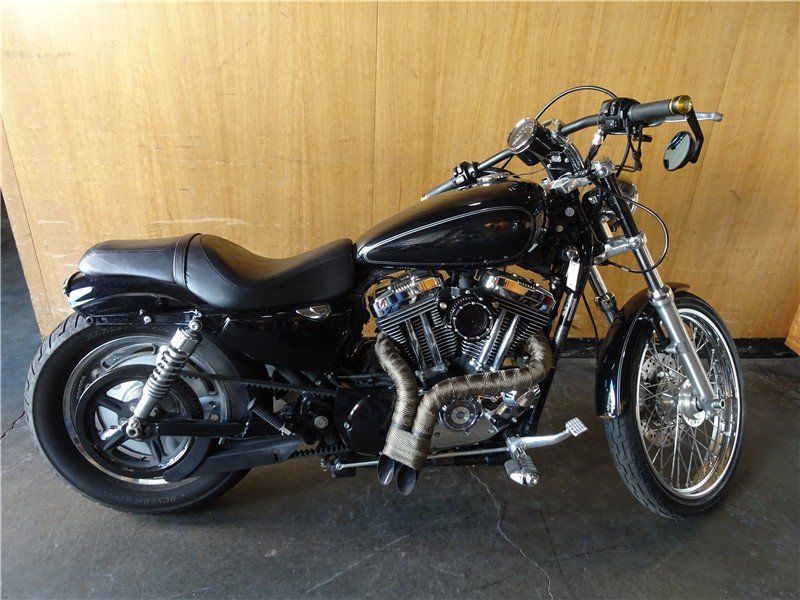2009 Harley-Davidson SportsterImage 1
