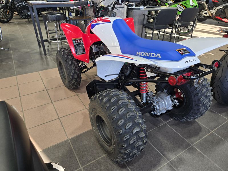 NEW 2026 HONDA TRX250X Image 10