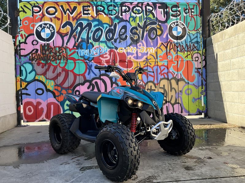 2025 Can-Am RENEGADE 110 Image 8