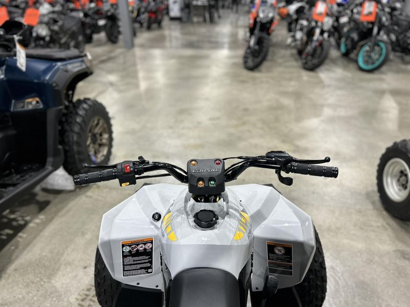 New 2025 Can-Am RENEGADE 110 EFI Image 11