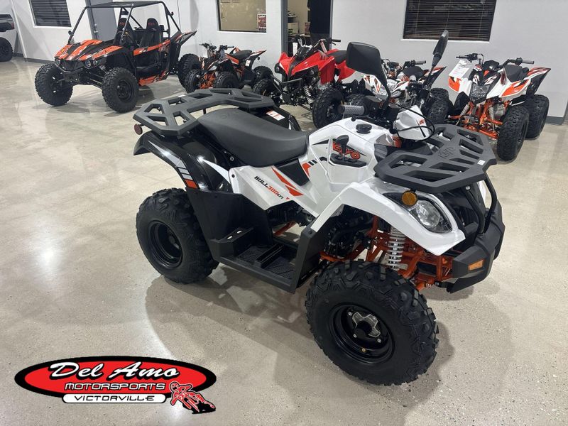 New 2026 Kayo BULL 300 EFI Image 1