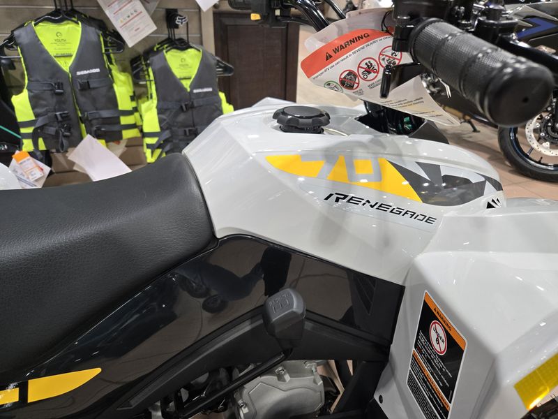 2025 Can-Am RENEGADE 70 EFI CATALYST GRAY AND NEON YELLOWImage 11