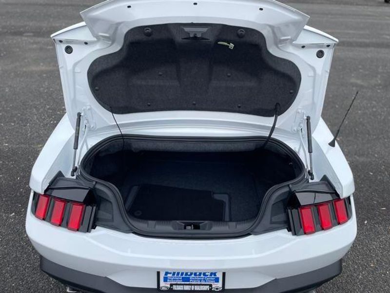 2025 Ford Mustang EcoBoost photo 6