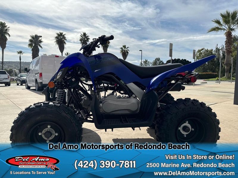 2025 Yamaha RAPTOR 110 Image 8