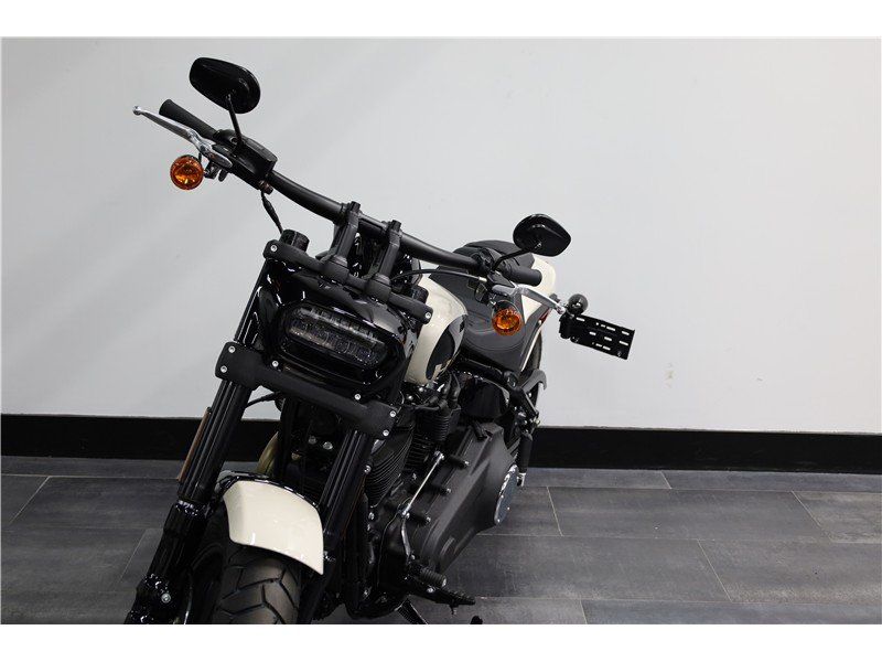 2023 Harley-Davidson SoftailImage 2