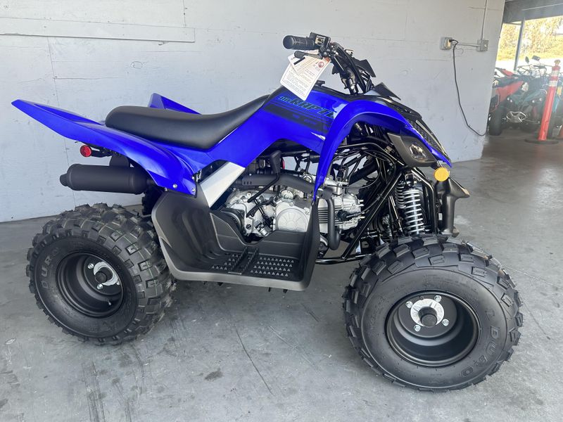 2025 Yamaha RAPTOR 110 Image 6