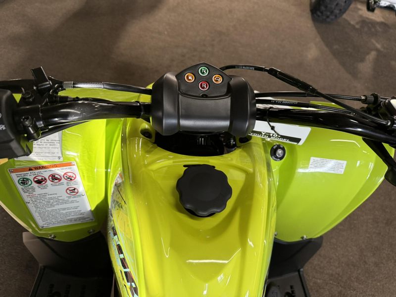 New 2026 Yamaha RAPTOR 110 Image 13